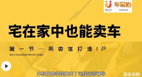 变局下的新车经销商二手车业务 采购代理服务如何破局——以车易拍陈茉怡视角为例
